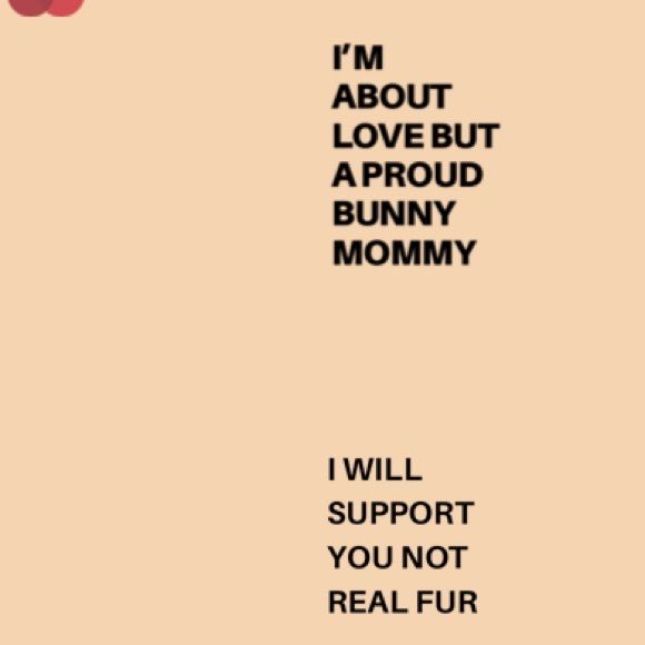 🧡Posh Ambassador🧡 - Picture 4 of 5